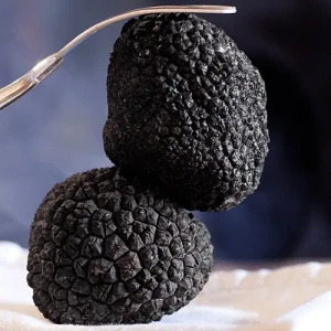 les-truffes-noires-du-perigord-entieres-brossees-1er-choix